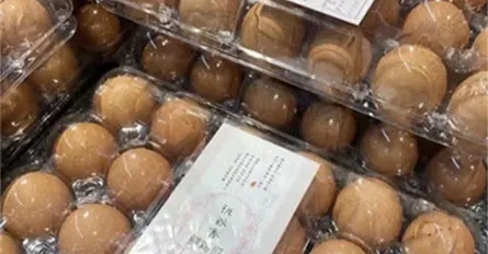 /What's The Principle of A Plastic Egg Tray Thermoforming Machine?