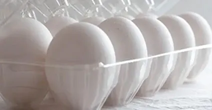 /Are Egg Cartons Recyclable